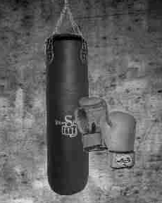Ein Boxsack ist als Trainingsgerät für weit mehr Sportarten als den traditionellen Box Sport geeigne