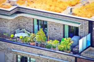 große Terrasse mit Kübelbepflanzung