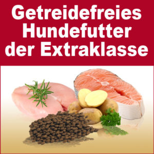 Getreidefreies Hundefutter