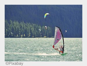 Surfer vor bewaldeter Küste