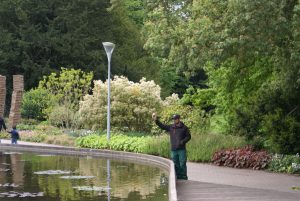 Mann steht an einem Teich mit Seerosen