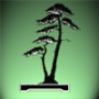 Baumschule-Pflanzen - Große Bäume und Qualitätspflanzen für jeden Garten finden