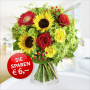 blumen-gefunden