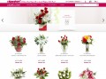 Blumenversand von Cicek online Blumen verschenken