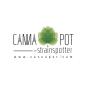 Cannapot - hochwertige Cannabis Genetik 2025