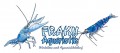 FRAKU Aquaristik - Wirbellose und Aquaristikbedarf