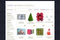 Kaufen Sie Weihnachtsdekoration günstig online BEI UNS!