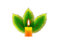 KCandles.de - Kratom Kaufen Deutschland