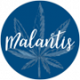 Malantis Naturprodukte und Kosmetik aus Stuttgart